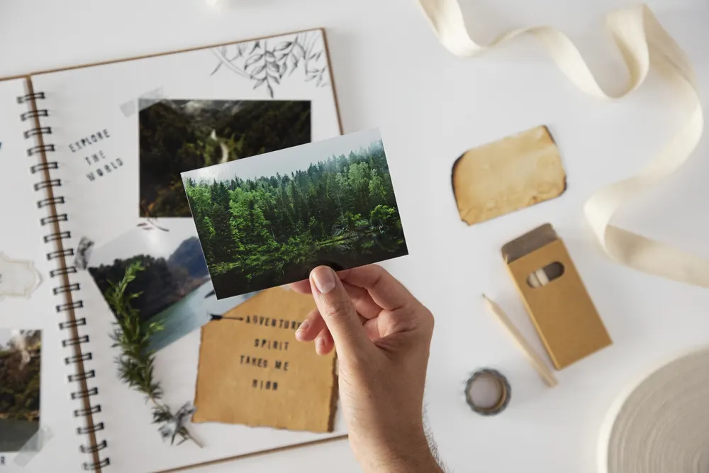 Hand hält einen Fotoabzug mit Naturmotiv